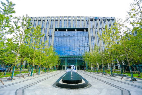 五年磨一剑 未来网络发展大会引领科研协同与城市建设双开花